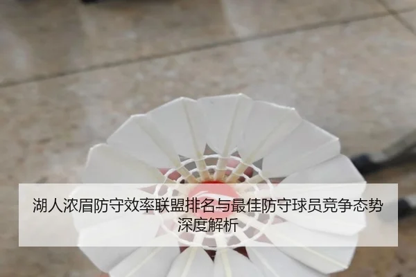 湖人浓眉防守效率联盟排名与最佳防守球员竞争态势深度解析
